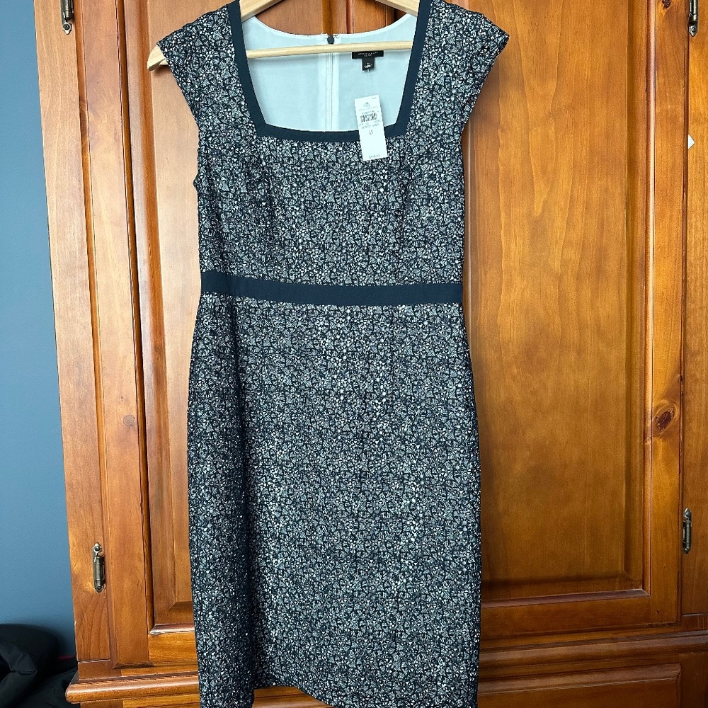 NWT Ann Taylor Gorgeous Lace Dress
